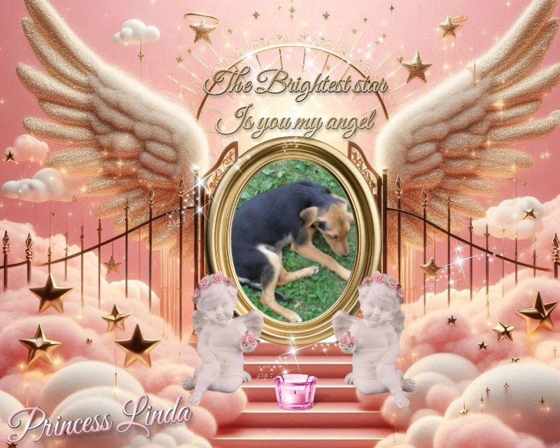 zoza1958 uploaded   30  day/s  ago