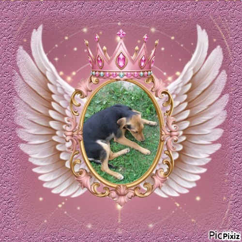 Princess Linda of the zoza1958 family