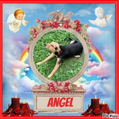 zoza1958 uploaded   30  day/s  ago