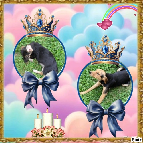 Princess Linda of the zoza1958 family