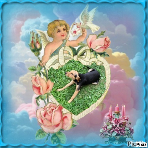 zoza1958 uploaded   30  day/s  ago