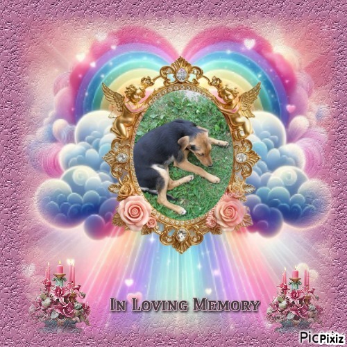 Princess Linda of the zoza1958 family