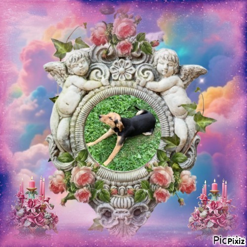 zoza1958 uploaded   30  day/s  ago