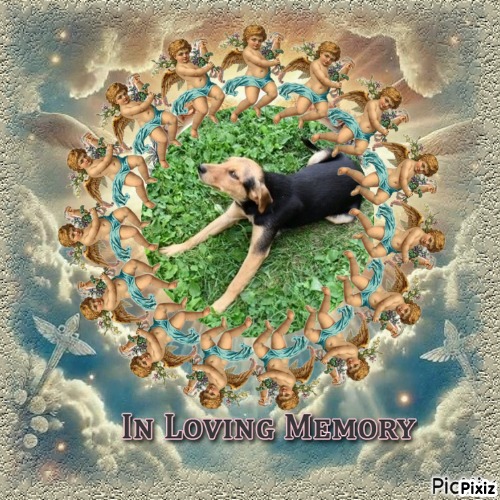 zoza1958 uploaded   30  day/s  ago