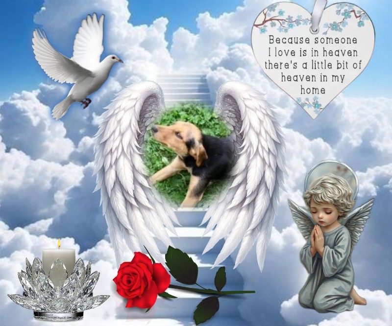 zoza1958 uploaded   30  day/s  ago