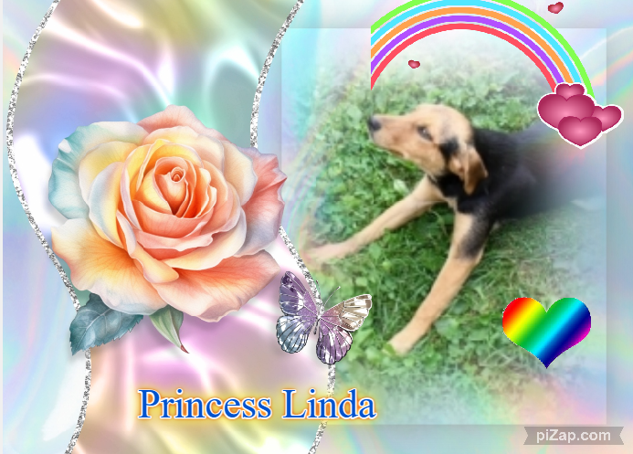 zoza1958 uploaded   30  day/s  ago