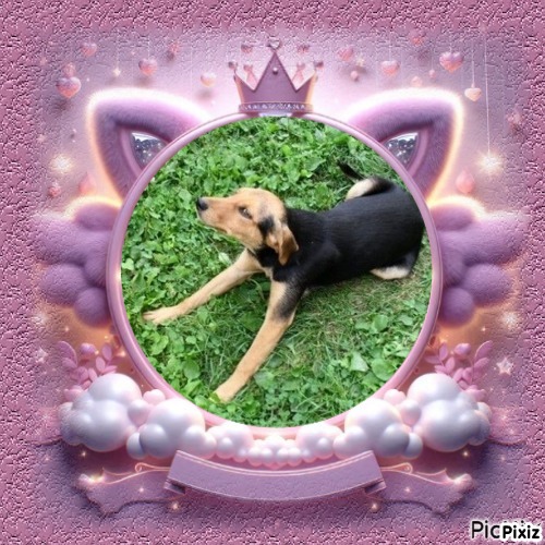 Princess Linda of the zoza1958 family