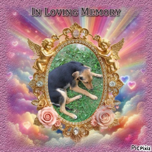 Princess Linda of the zoza1958 family