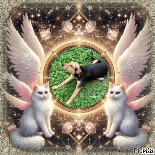 Princess Linda of the zoza1958 family