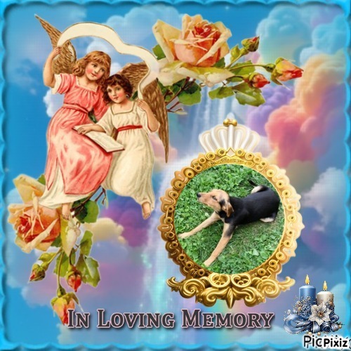 zoza1958 uploaded   30  day/s  ago