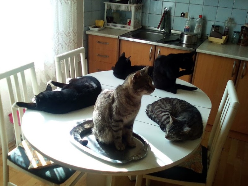 zoza1958 uploaded   6 year/s ago