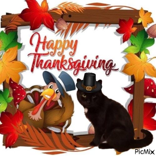 Prince Zivko of the zoza1958 family