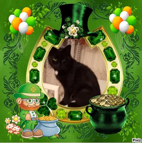 Prince Zivko of the zoza1958 family