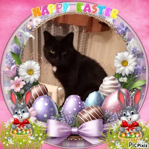 zoza1958 uploaded   6  day/s  ago