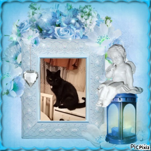 Prince Zivko of the zoza1958 family