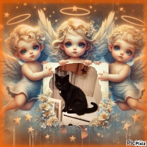 Prince Zivko of the zoza1958 family