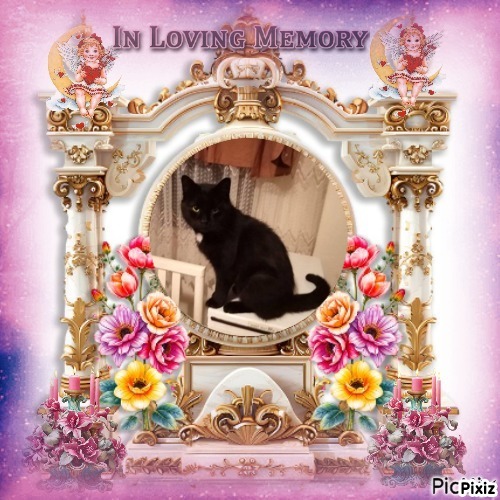 Prince Zivko of the zoza1958 family