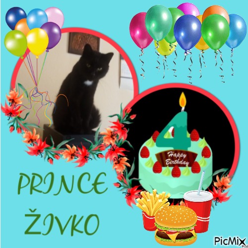 Prince Zivko of the zoza1958 family