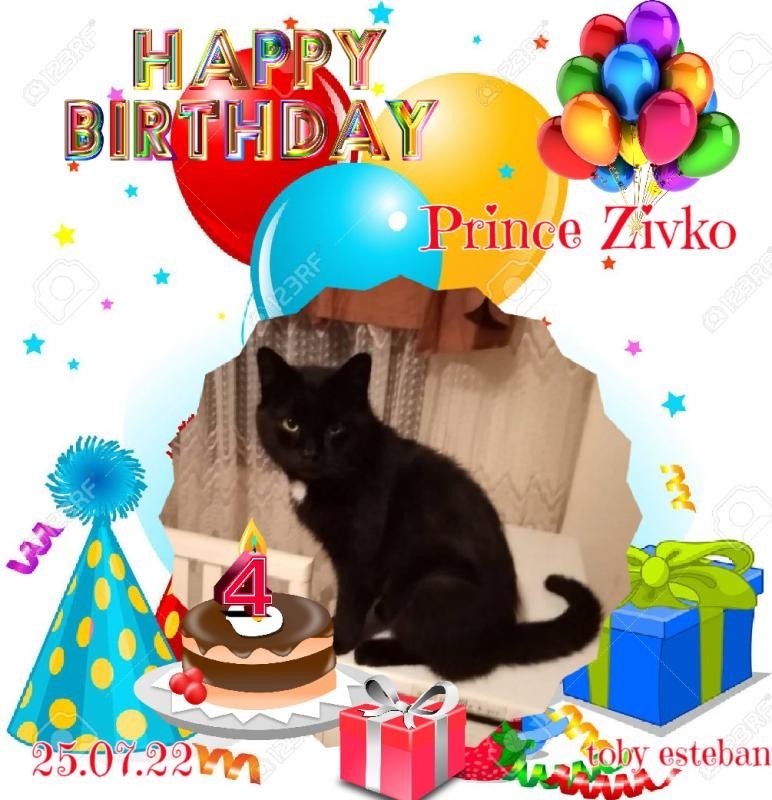 Prince Zivko of the zoza1958 family