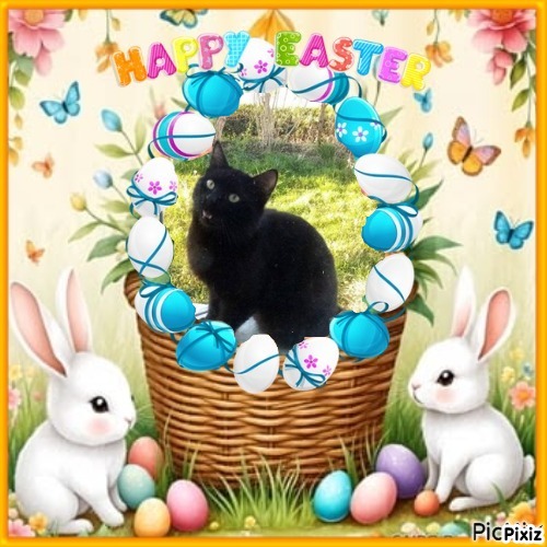 zoza1958 uploaded   6  day/s  ago