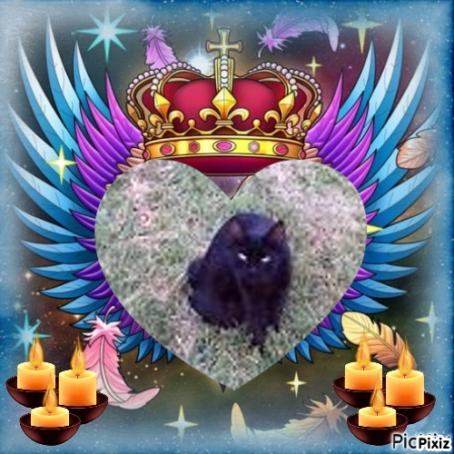 Prince Daco of the zoza1958 family