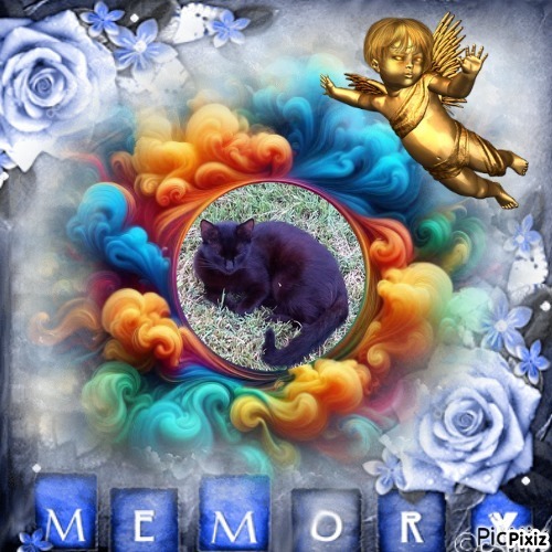 Prince Daco of the zoza1958 family