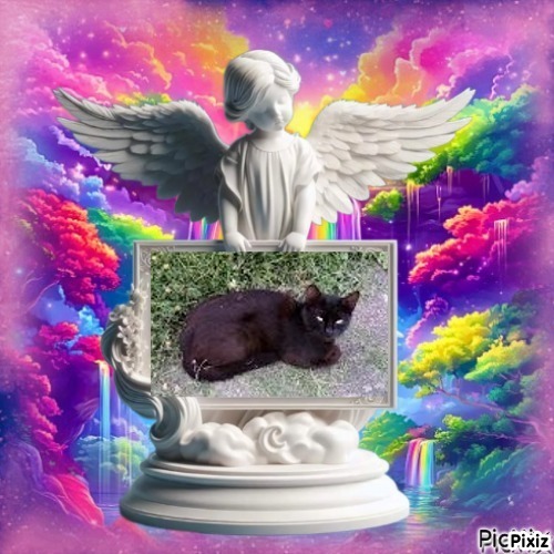 Prince Daco of the zoza1958 family