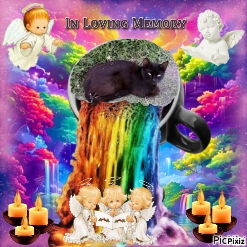 Prince Daco of the zoza1958 family