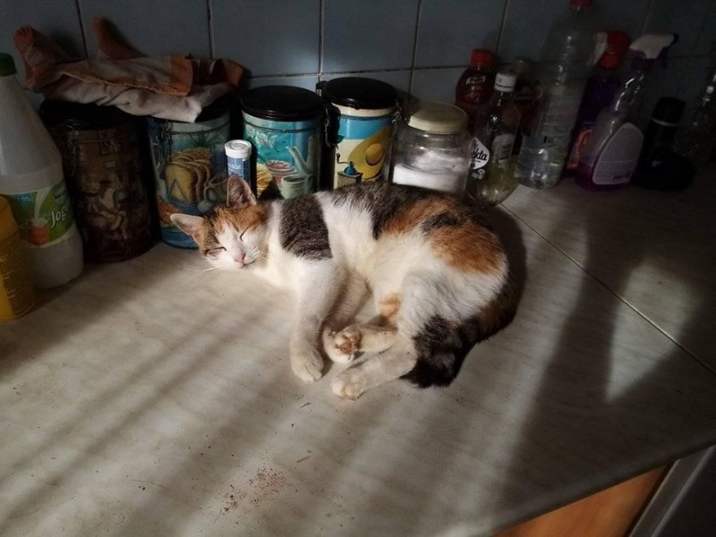 zoza1958 uploaded   6 year/s ago