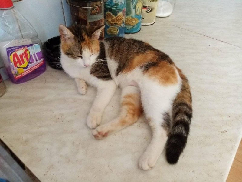 zoza1958 uploaded   5 year/s ago