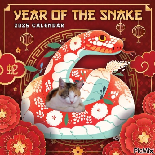zoza1958 uploaded   1 year/s ago