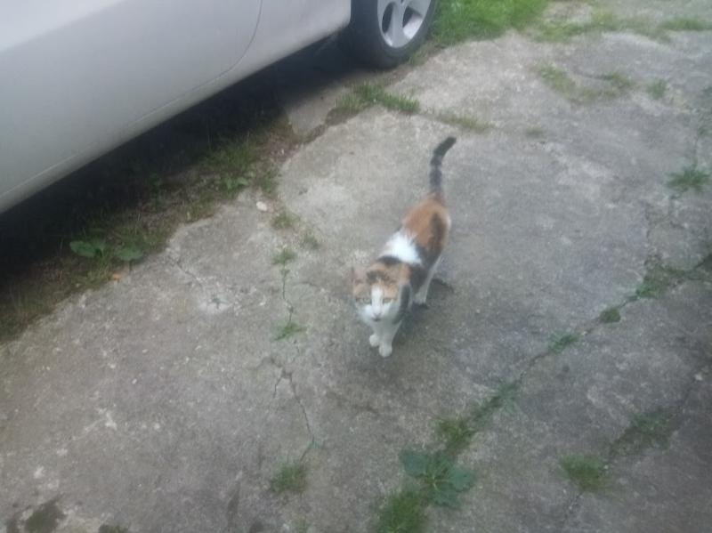 zoza1958 uploaded   330  day/s  ago