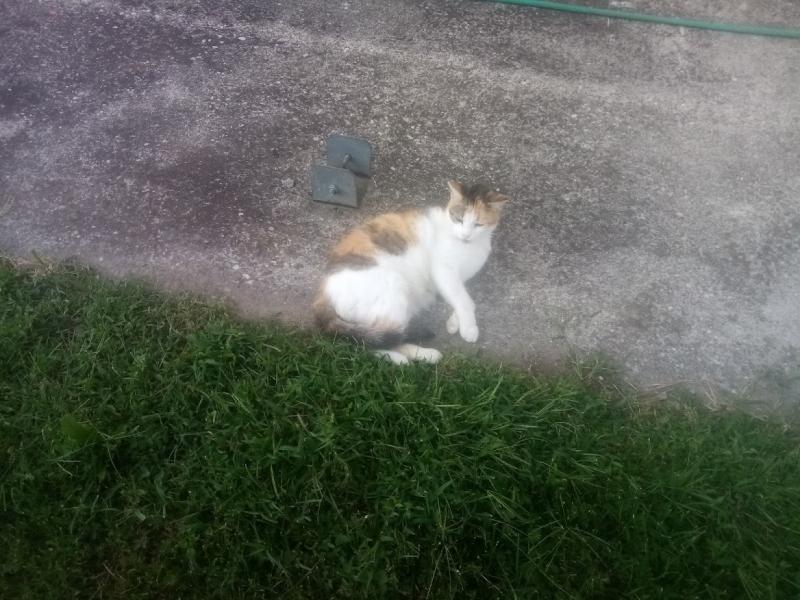 zoza1958 uploaded   235  day/s  ago