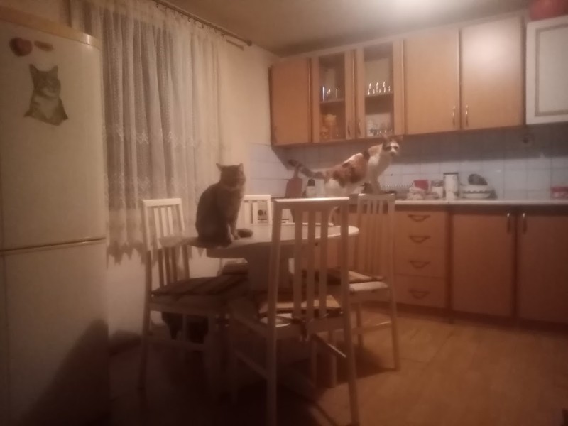 zoza1958 uploaded   316  day/s  ago