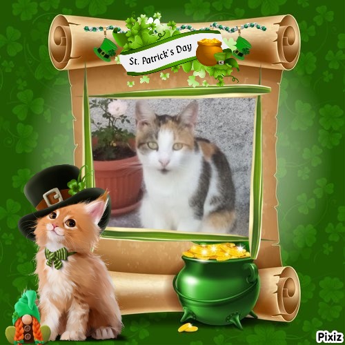 Princess Simona of the zoza1958 family