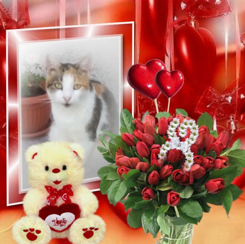 Princess Simona of the zoza1958 family