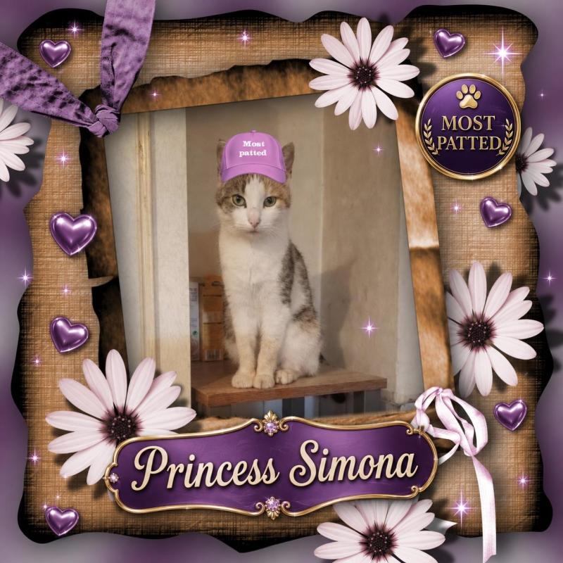 Princess Simona of the zoza1958 family