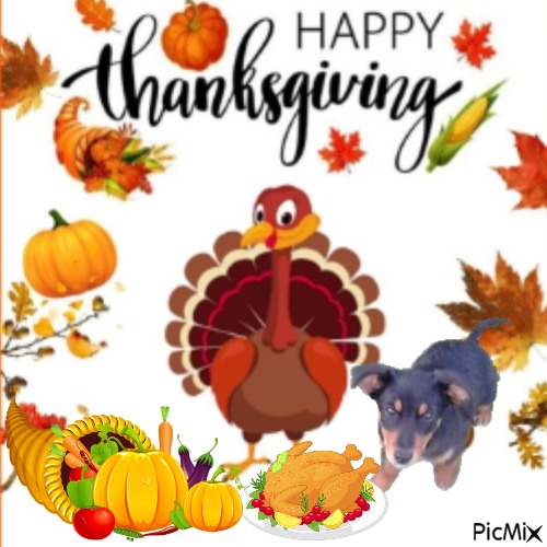 Princess Alfa of the zoza1958 family