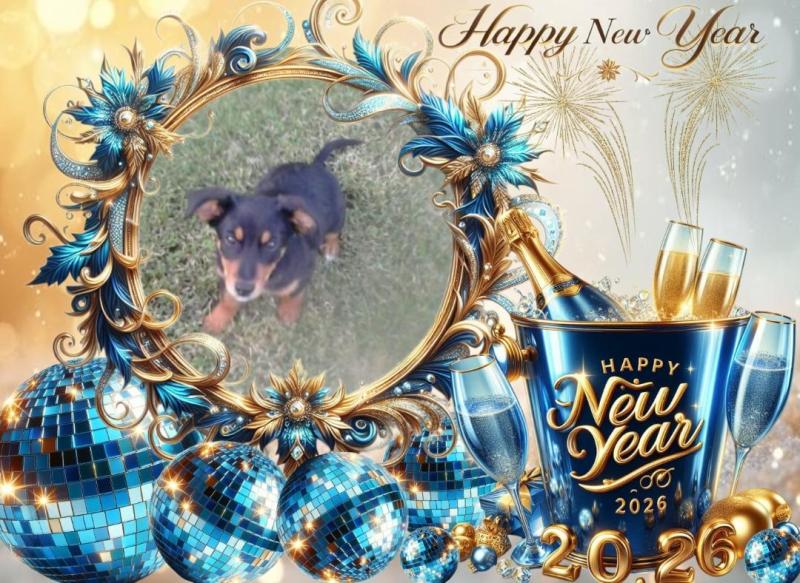 Princess Alfa of the zoza1958 family