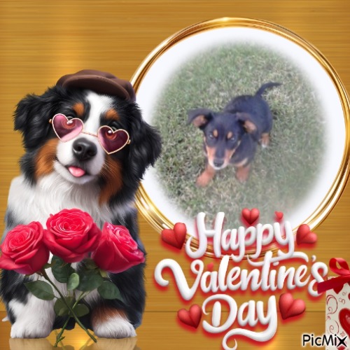 Princess Alfa of the zoza1958 family