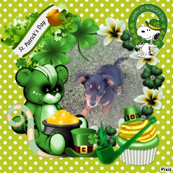 Princess Alfa of the zoza1958 family