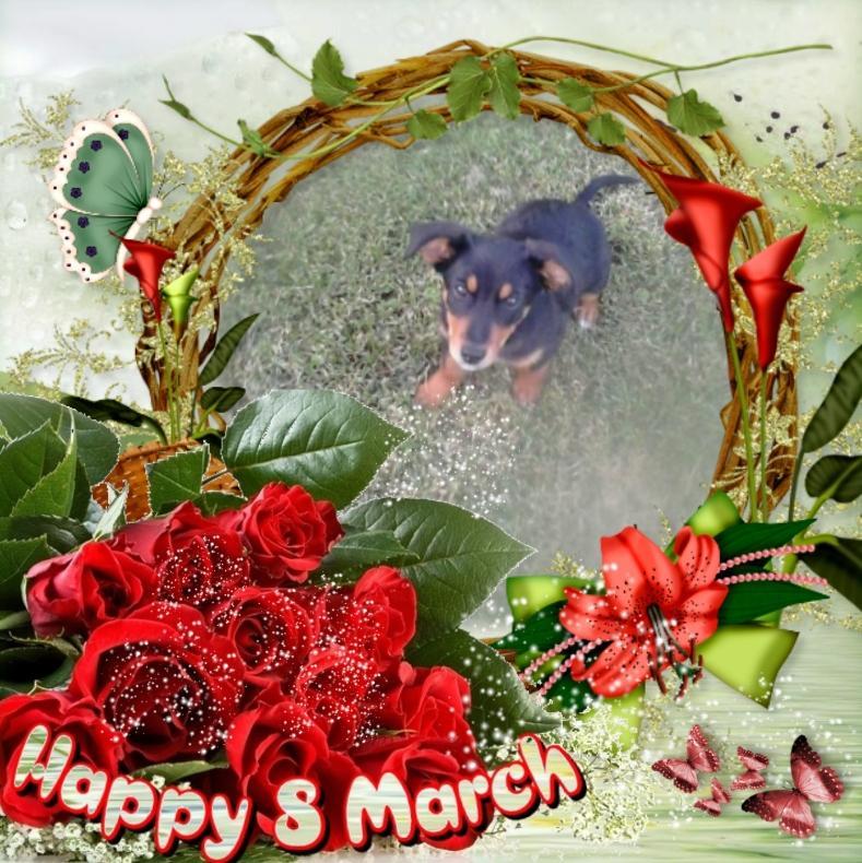 Princess Alfa of the zoza1958 family