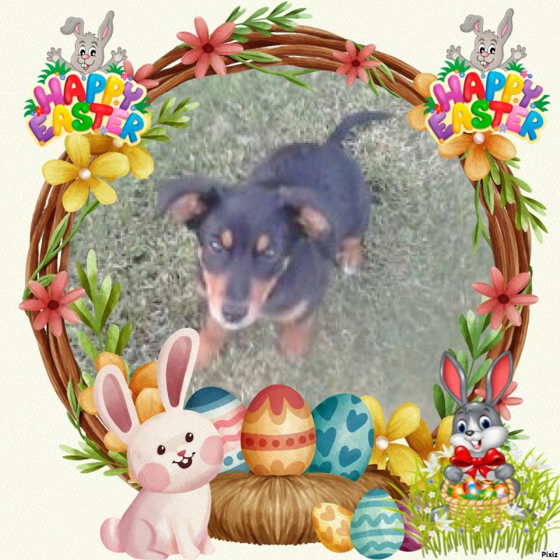 Princess Alfa of the zoza1958 family