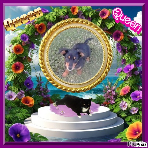 Princess Alfa of the zoza1958 family