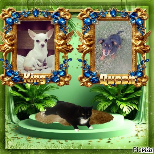 Princess Alfa of the zoza1958 family