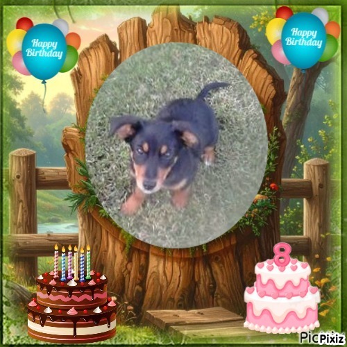 Princess Alfa of the zoza1958 family