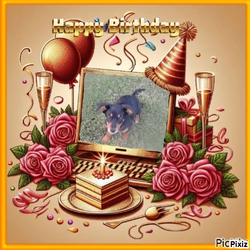 Princess Alfa of the zoza1958 family