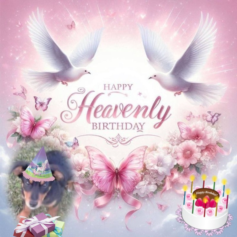 Princess Alfa of the zoza1958 family