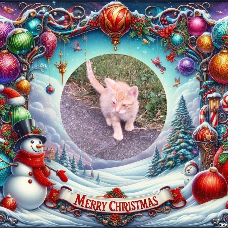 Prince Zuco of the zoza1958 family