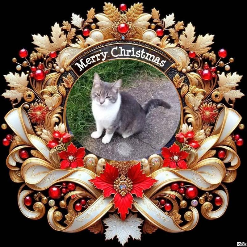 Princess Mona of the zoza1958 family